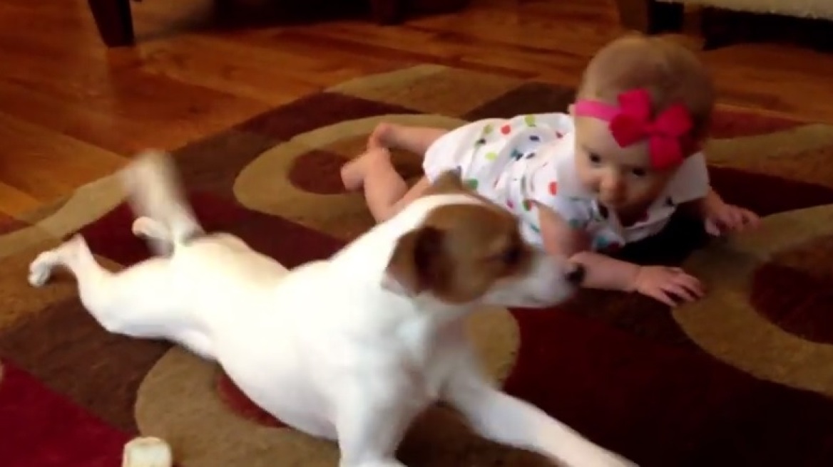 Το πιο γλυκό βίντεο: Σκύλος... μαθαίνει σε μωράκι να μπουσουλάει